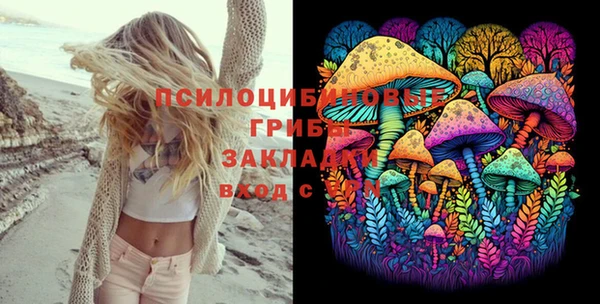 гидропоника Абаза