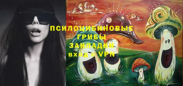 гидропоника Абаза