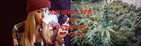 гидропоника Абаза